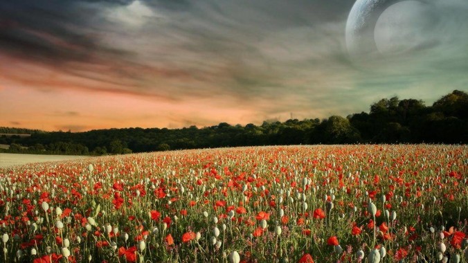 你认为美国最近30年最烂的一个总统是谁?